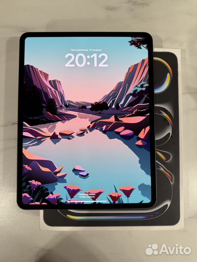 iPad pro 13 m4 256 gb wifi space black