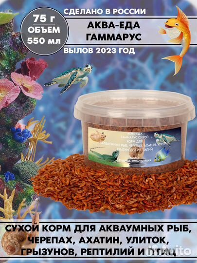 Гаммарус тушка. Вылов 2023 года