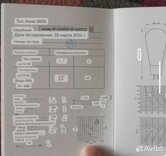 Psvane / Acme Series / Acme 300B