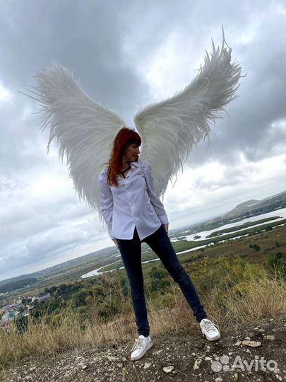 Крылья ангела в аренду