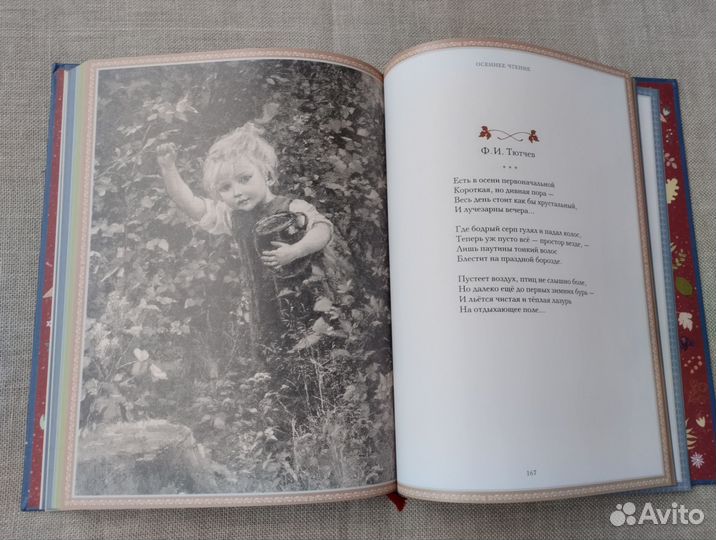 Круглый год подарочная книга