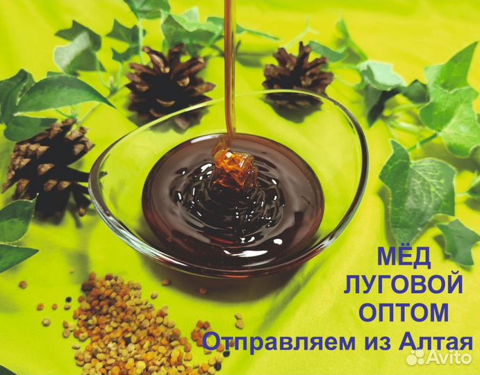 Алтайский мед 2023 г (опт.)