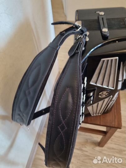 Баян weltmeister fionetta