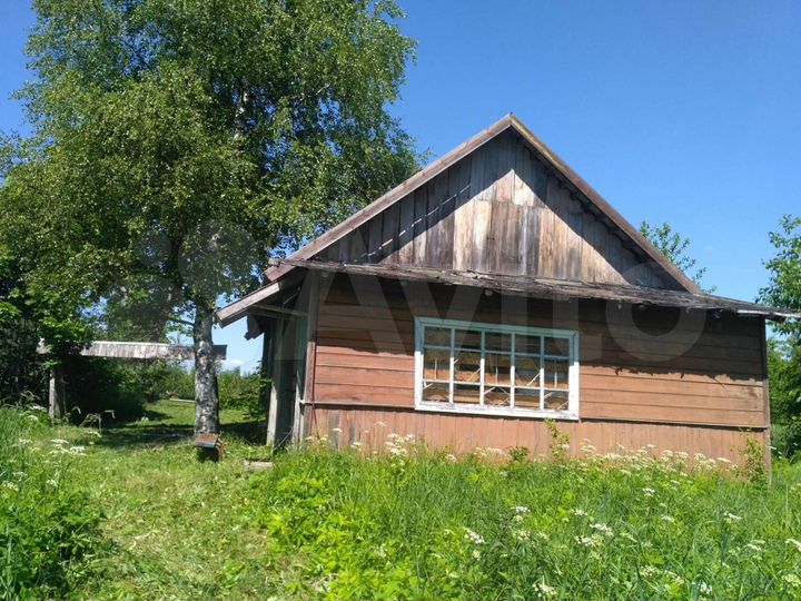 Дом (Белоруссия)