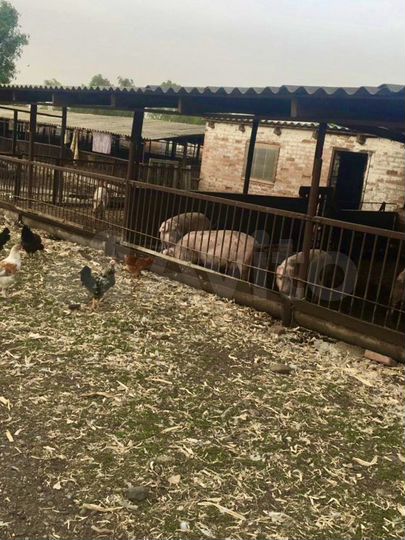 Участок 30 сот. (СНТ, ДНП)