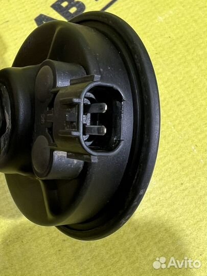 Звуковой сигнал Hyundai Solaris 2 2020