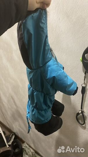 Костюм для собаки