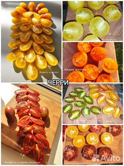 Семена коллекционные томаты и перцы