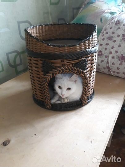 Домик лежанка для кошки