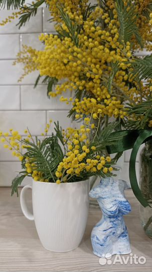 Статуэтка гипсовая Афродита