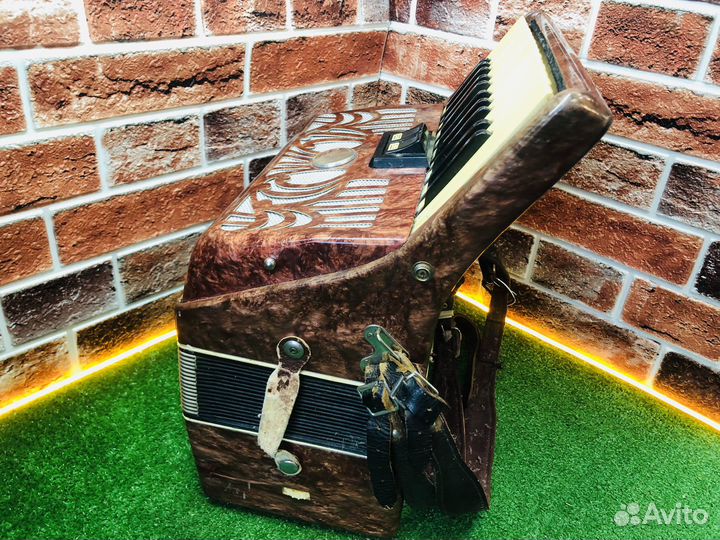 Z.Аккордеон юность-3