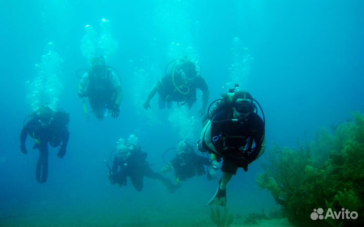 Дайвинг Сочи