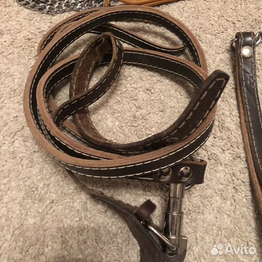 Поводки для собак