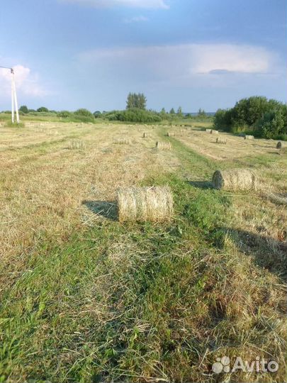 Сено в мини рулонах, покос 2023 года