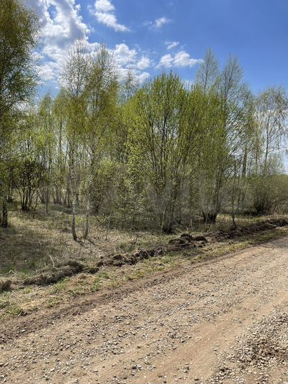 Участок 60 сот. (ИЖС)