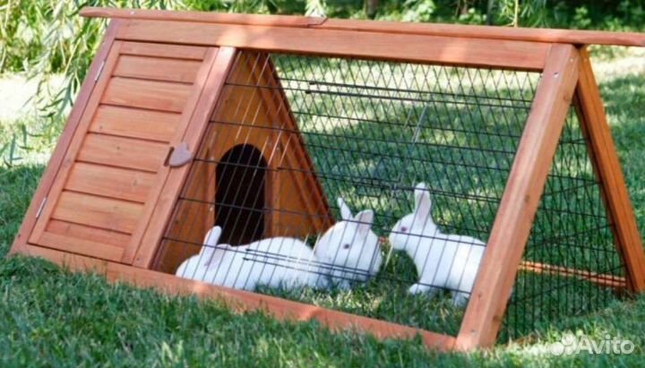 Будка домики вольер клетки