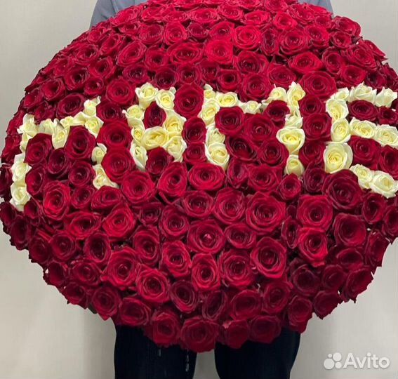 101 роза 51 роза Цветы