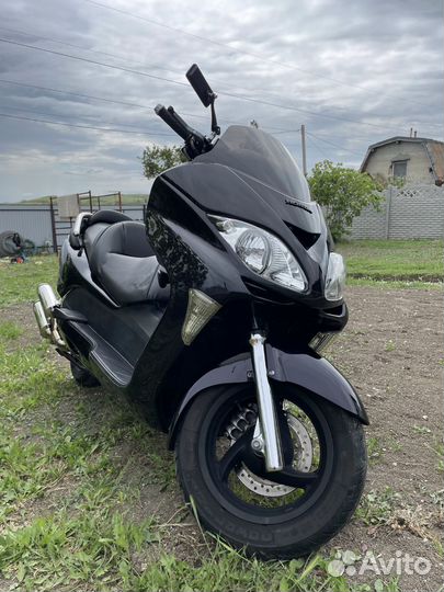 Максискутер Honda Forza Mf08