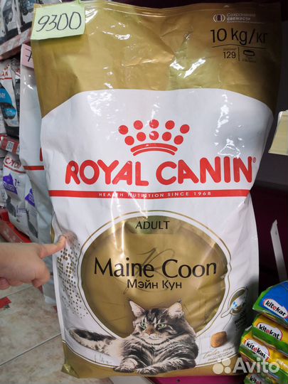 Корм для кошек роял канин Мэйн кун