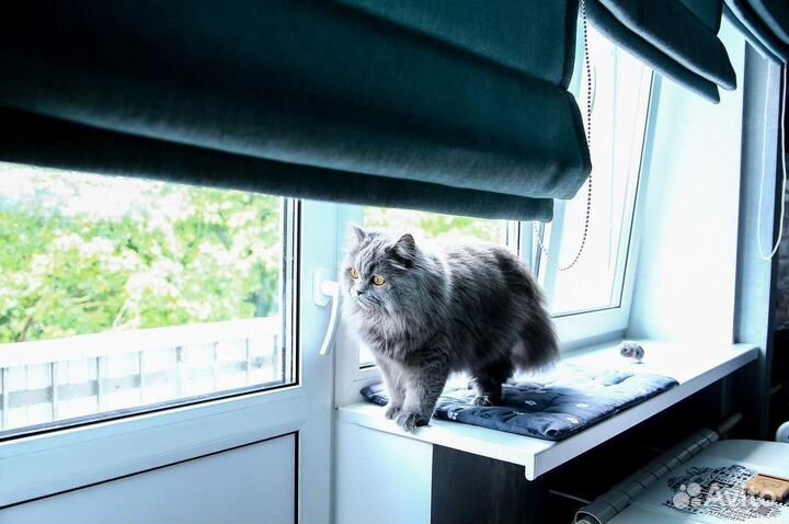 Римская штора пошив на заказ