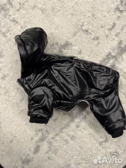 Комбинезон для мелких пород