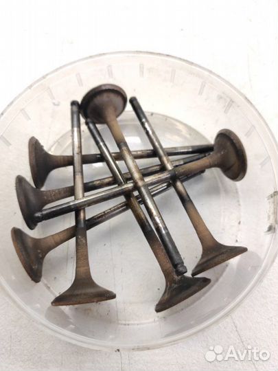 Клапан выпускной Honda Accord CL9 K24A3