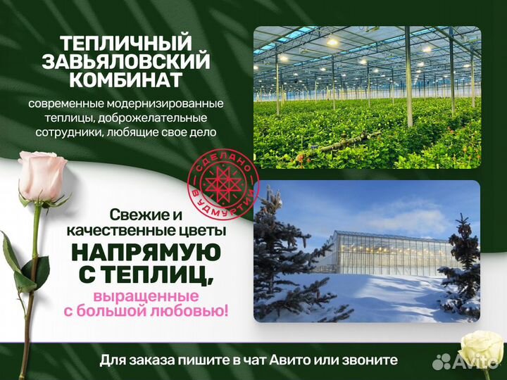 Цветы из теплицы Самые свежие