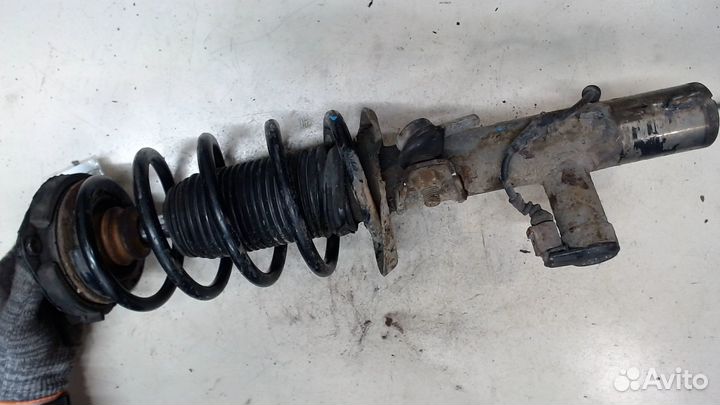 Амортизатор подвески Volkswagen Passat CC, 2009