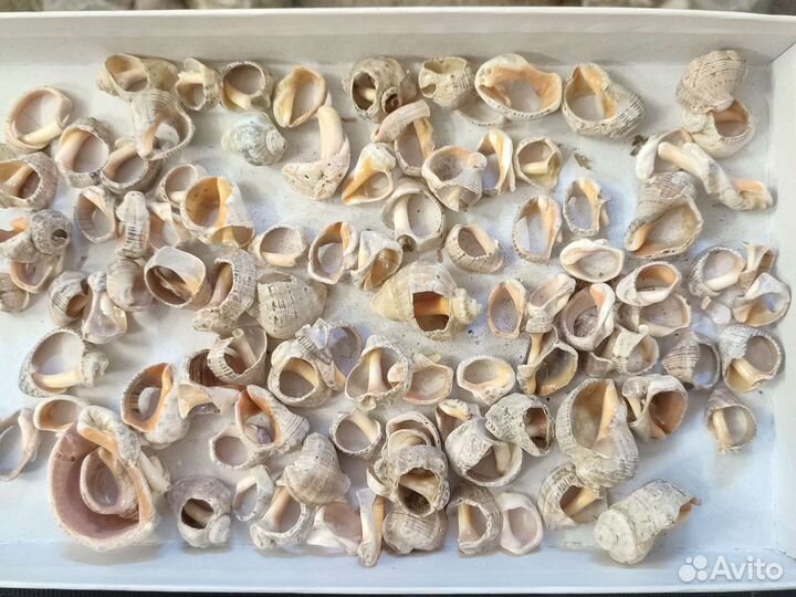 Камни для аквариума