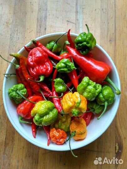 Острый перец