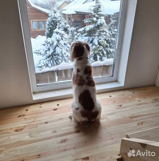 Мягкие окна из пленки пвх