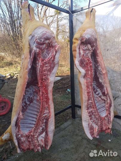 Мясо свинины домашние