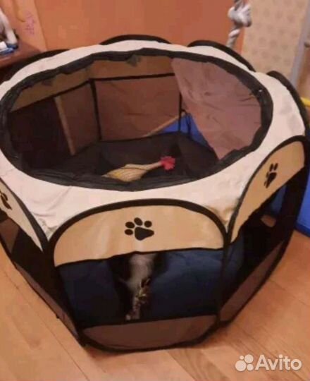 Домик для кошки окатилась кошка