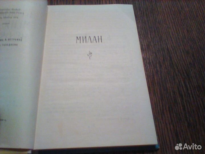 Рудольф. Птицы меня не обгонят.1976 год