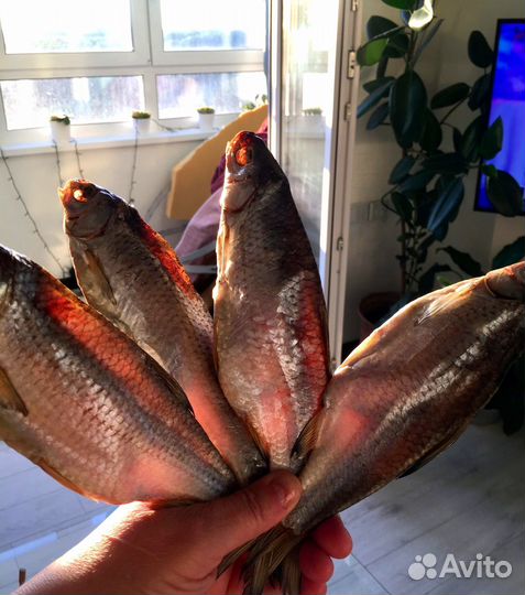 Астраханская вобла