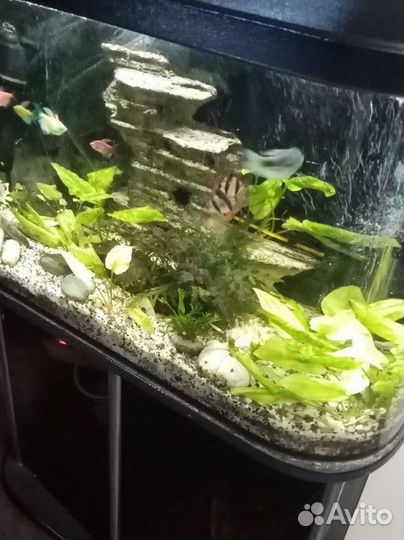 Аквариум с тумбой 120 литров
