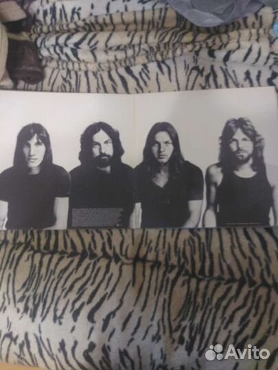 Виниловая пластинка