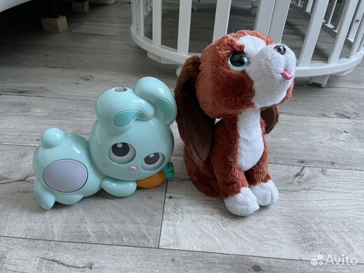 Заяц проектор и интерактивная собака