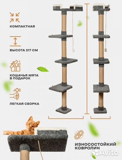 Когтеточка для кошек новая