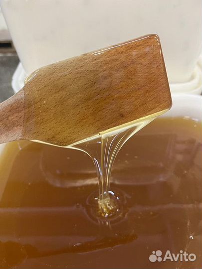 Липовый свежий натуральный мёд Оптом