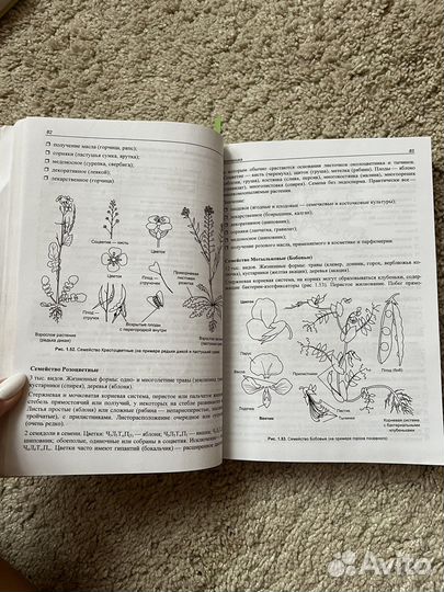 Книга для подготовки к егэ Соловков