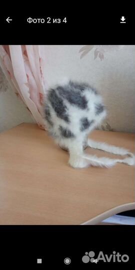 Шапка пуховая на девочку 3/5 лет цена за все