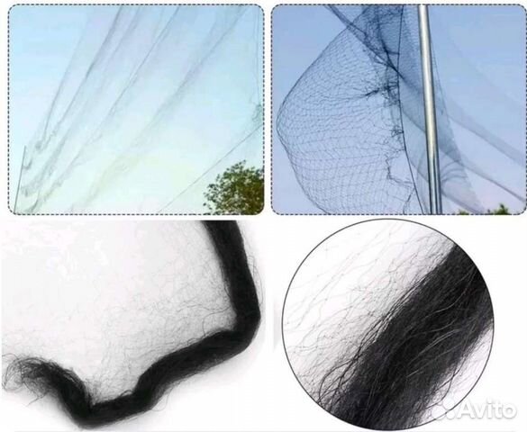 Орнитологическая сеть