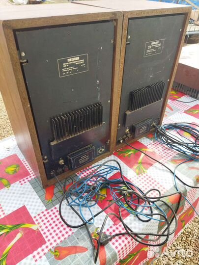 Эстония Акустическая система