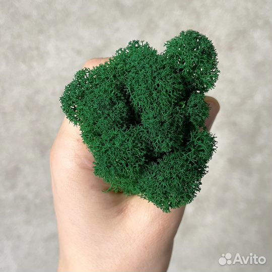 Стабилизированный мох, Зеленый Микс