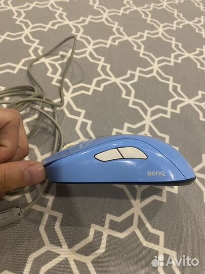 Zowie s1 divina blue