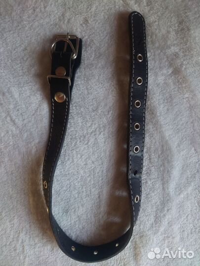 Ошейник для собак