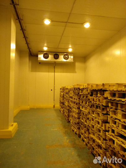 Аренда холодильного морозильного склада