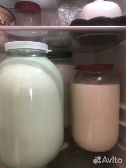 Продам козье молоко