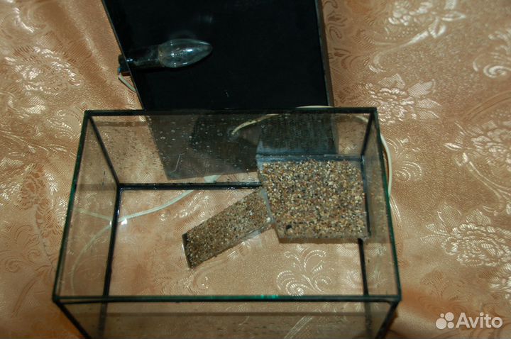 Аквариум-акватеррариум